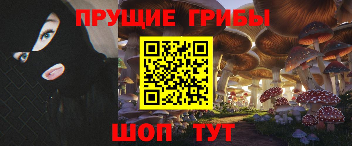 Галлюциногенные грибы мицелий  где купить наркотик  Нарткала  Псилоцибиновые грибы Magic Shrooms  Вход с VPN 